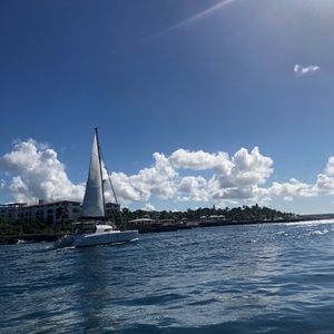 Meet your Posher, Irene